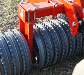 waly-dogniatajace-teris-llh.5_f